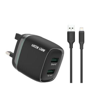 Green Lion Braided Cable GN2N2CA30CMGY - 2-in-2 Type-C & ...